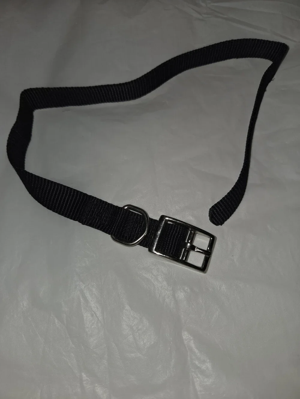 20 Inch Dog Collar with Metal D-Ring